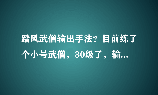 踏风武僧输出手法？目前练了个小号武僧，30级了，输出有没有什么手法？