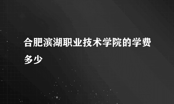 合肥滨湖职业技术学院的学费多少