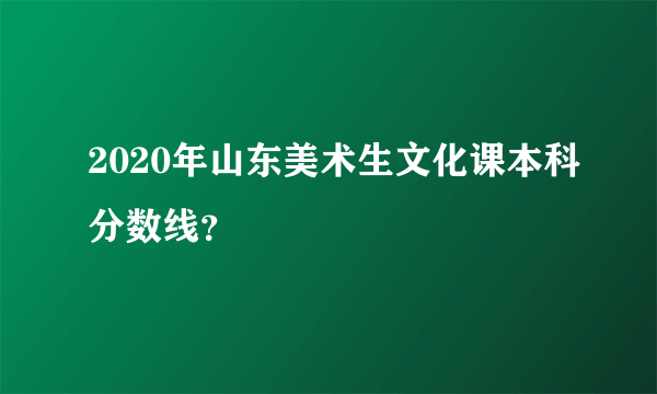 2020年山东美术生文化课本科分数线？