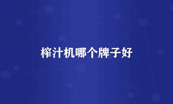 榨汁机哪个牌子好