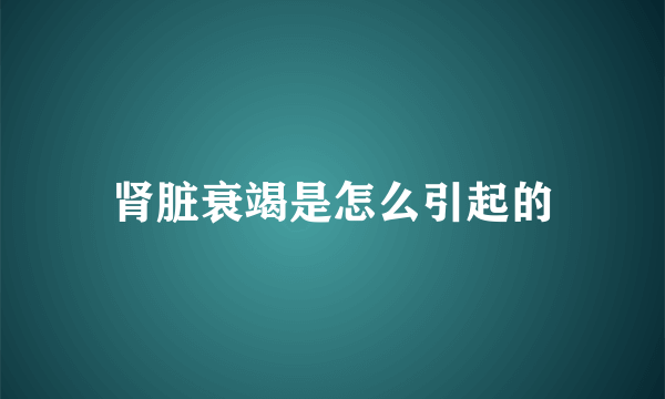 肾脏衰竭是怎么引起的