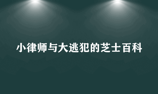 小律师与大逃犯的芝士百科
