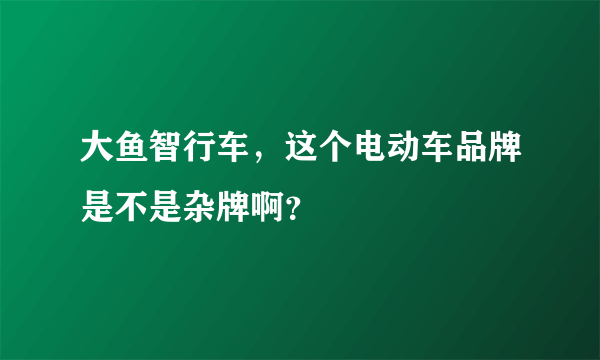 大鱼智行车，这个电动车品牌是不是杂牌啊？