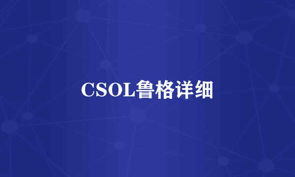 CSOL鲁格详细
