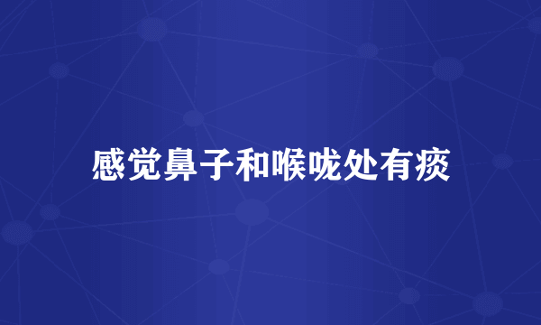感觉鼻子和喉咙处有痰