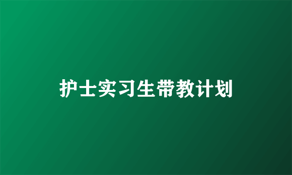 护士实习生带教计划