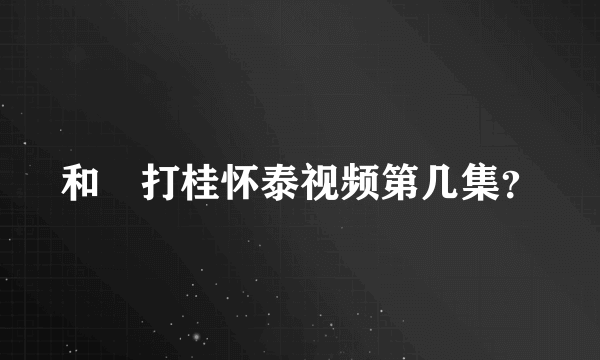 和珅打桂怀泰视频第几集？