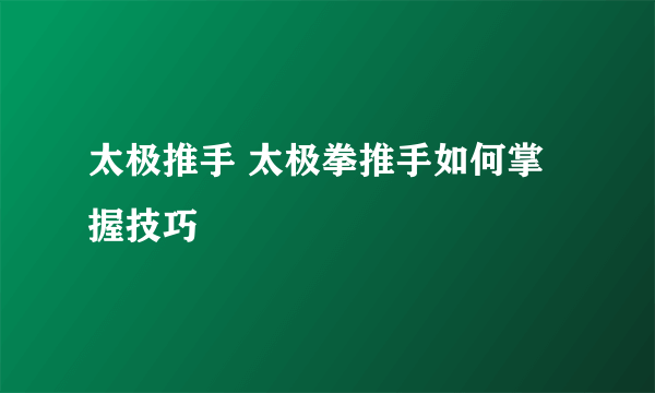 太极推手 太极拳推手如何掌握技巧