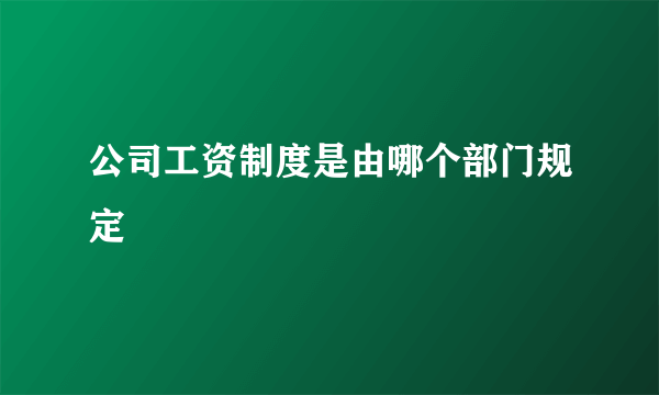公司工资制度是由哪个部门规定