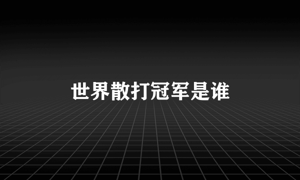 世界散打冠军是谁