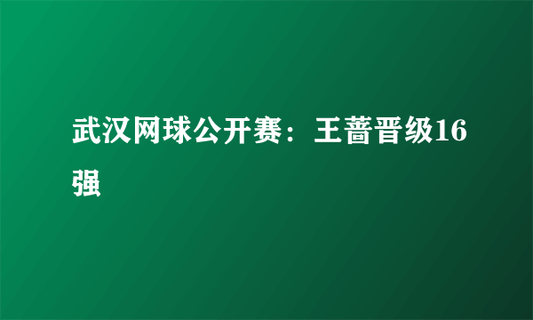 武汉网球公开赛：王蔷晋级16强