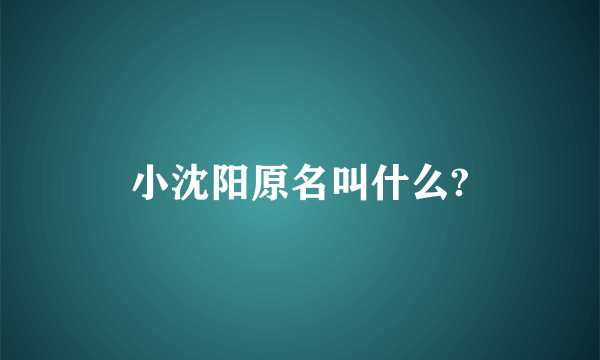 小沈阳原名叫什么?