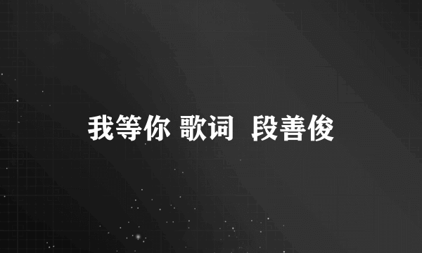 我等你 歌词  段善俊
