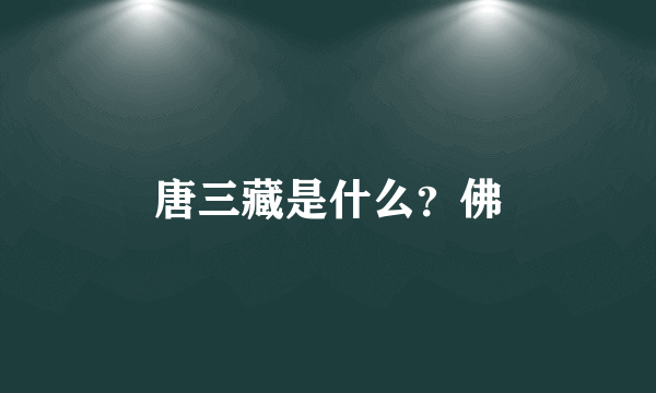 唐三藏是什么？佛