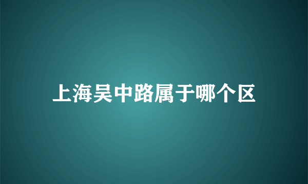 上海吴中路属于哪个区