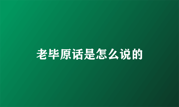 老毕原话是怎么说的