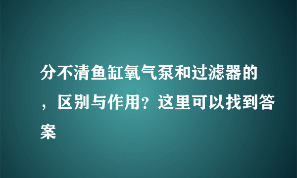 分不清鱼缸氧气泵和过滤器的，区别与作用？这里可以找到答案