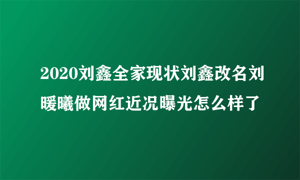 2020刘鑫全家现状刘鑫改名刘暖曦做网红近况曝光怎么样了