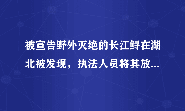 被宣告野外灭绝的长江鲟在湖北被发现，执法人员将其放归长江这意味着什么？