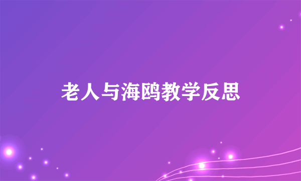 老人与海鸥教学反思