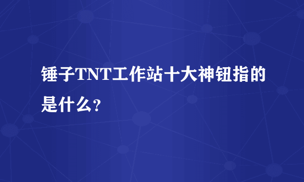 锤子TNT工作站十大神钮指的是什么？