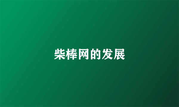 柴棒网的发展