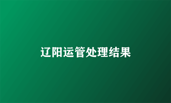辽阳运管处理结果