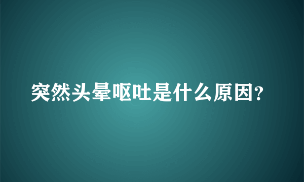 突然头晕呕吐是什么原因？