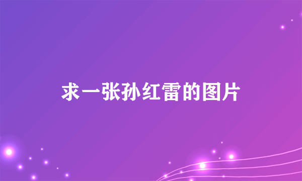 求一张孙红雷的图片