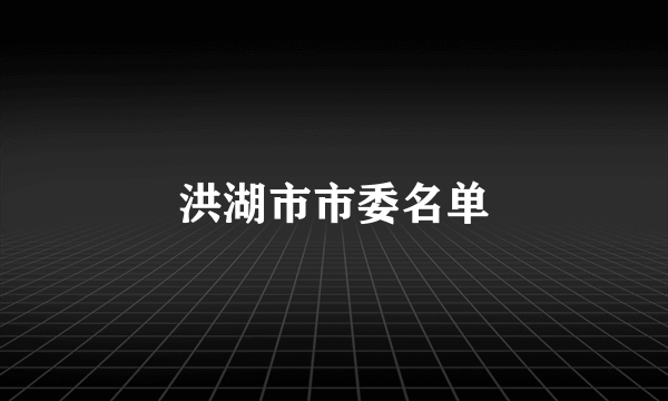 洪湖市市委名单