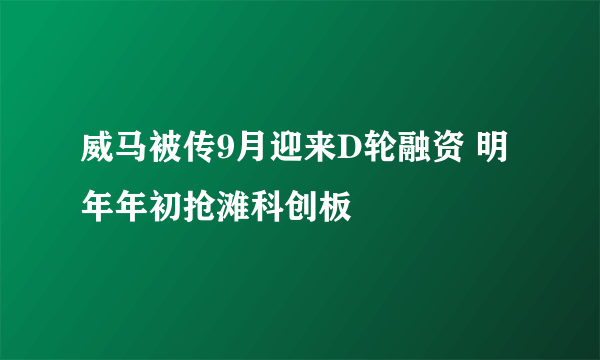威马被传9月迎来D轮融资 明年年初抢滩科创板