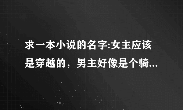 求一本小说的名字:女主应该是穿越的，男主好像是个骑士，有效忠追随的人，应该是个亲王或者将军，而且感？