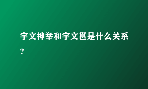 宇文神举和宇文邕是什么关系？