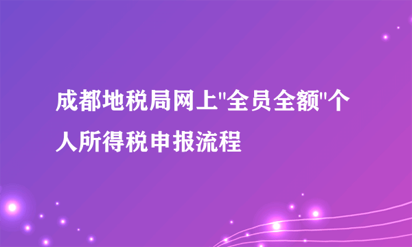 成都地税局网上