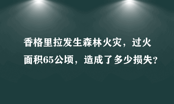 香格里拉发生森林火灾，过火面积65公顷，造成了多少损失？