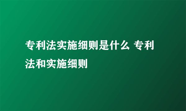 专利法实施细则是什么 专利法和实施细则