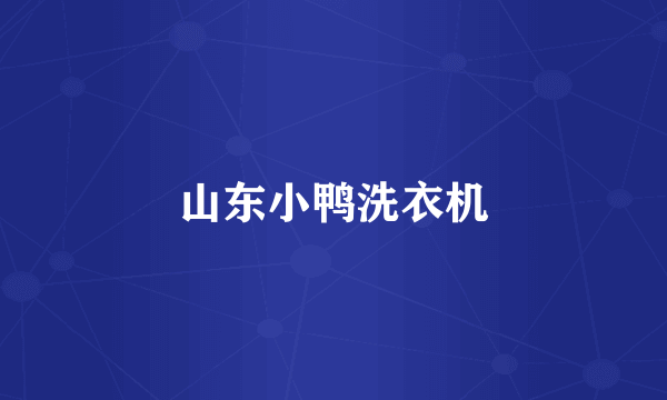山东小鸭洗衣机