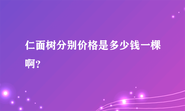 仁面树分别价格是多少钱一棵啊？
