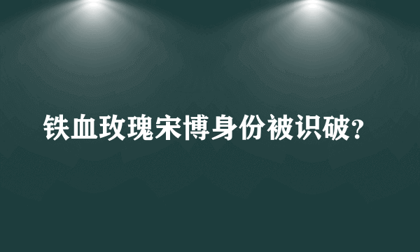 铁血玫瑰宋博身份被识破？