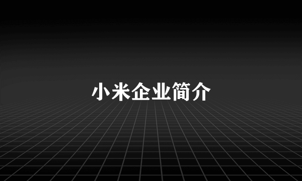 小米企业简介