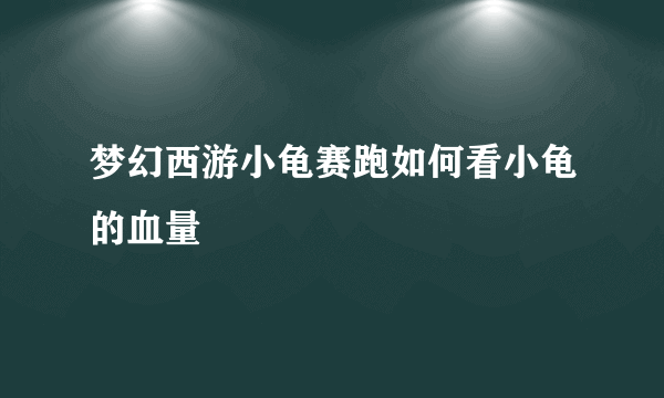 梦幻西游小龟赛跑如何看小龟的血量