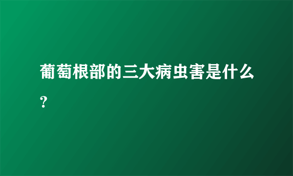 葡萄根部的三大病虫害是什么？