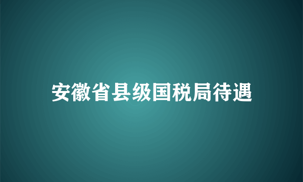 安徽省县级国税局待遇