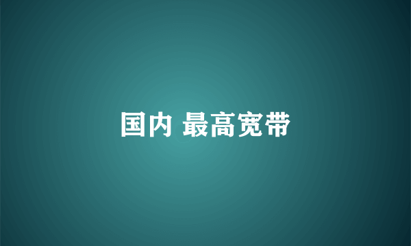 国内 最高宽带