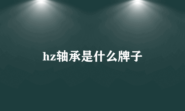 hz轴承是什么牌子
