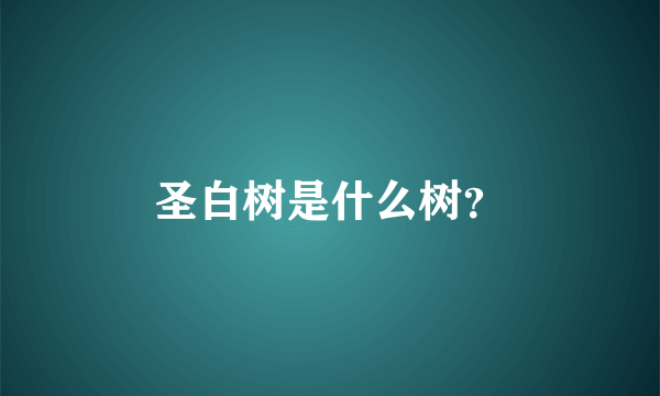 圣白树是什么树？
