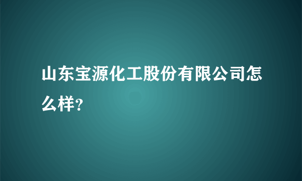 山东宝源化工股份有限公司怎么样？