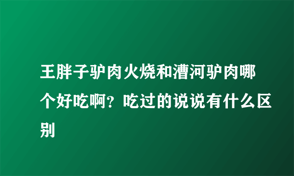 王胖子驴肉火烧和漕河驴肉哪个好吃啊？吃过的说说有什么区别