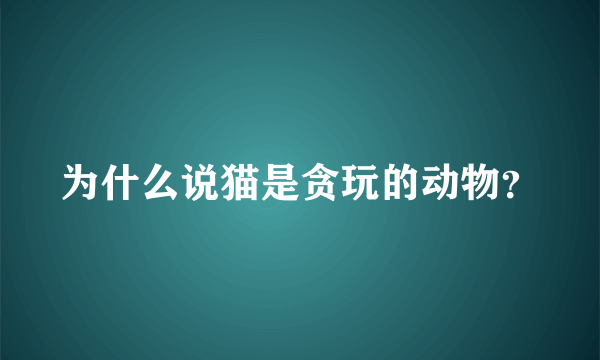 为什么说猫是贪玩的动物？