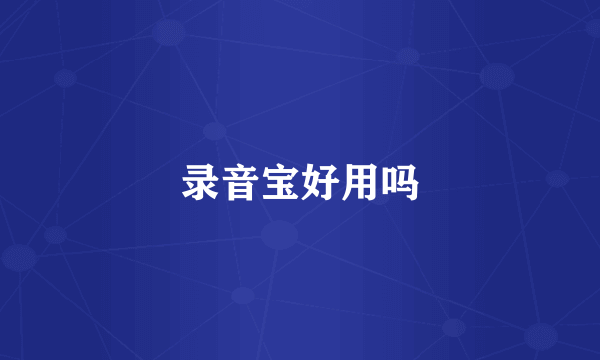 录音宝好用吗